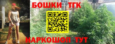 гашик Кулебаки