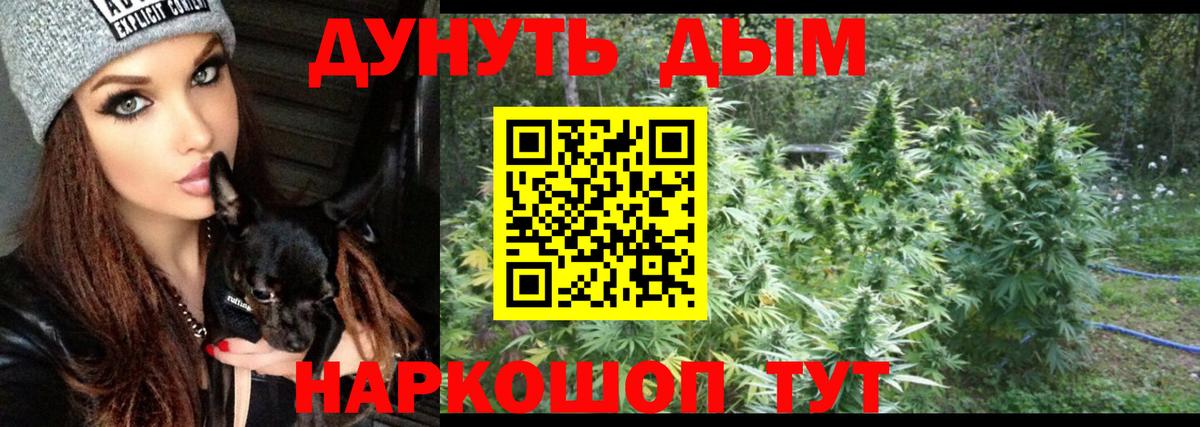 МАРИХУАНА SATIVA & INDICA Выкса